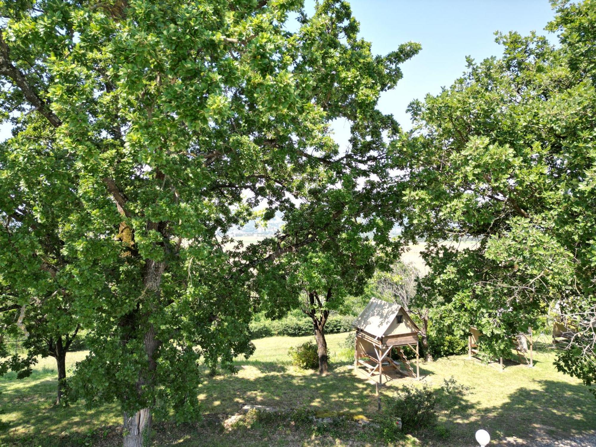 Camping Domaine De Senaud Albon Zewnętrze zdjęcie